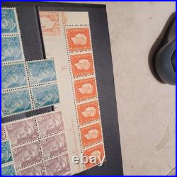Lot de timbres France neufs sans charnière, BLocs, Exceptionnel DULAC + erreur